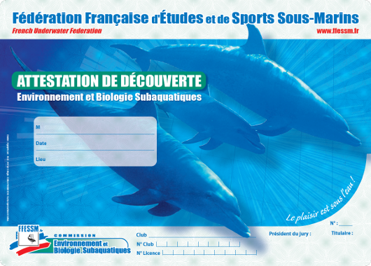 carte attestation decouverte 1